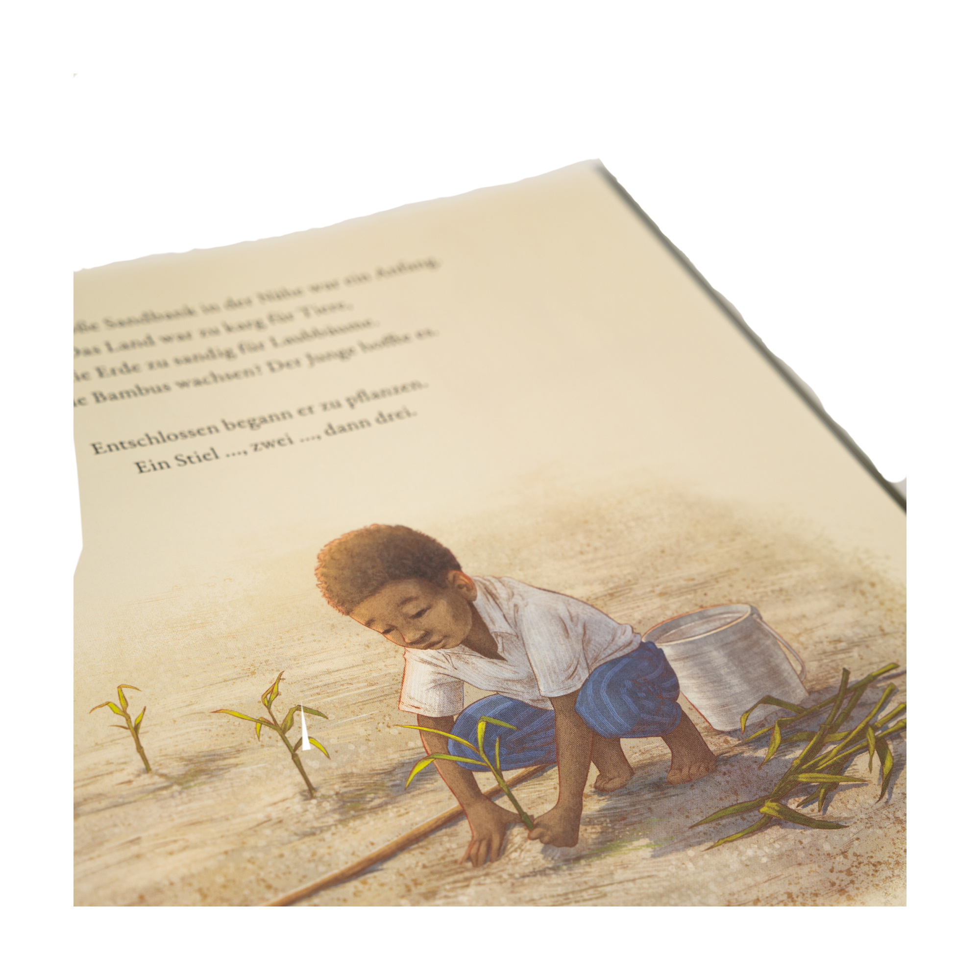 Der Junge, der einen Wald pflanzte